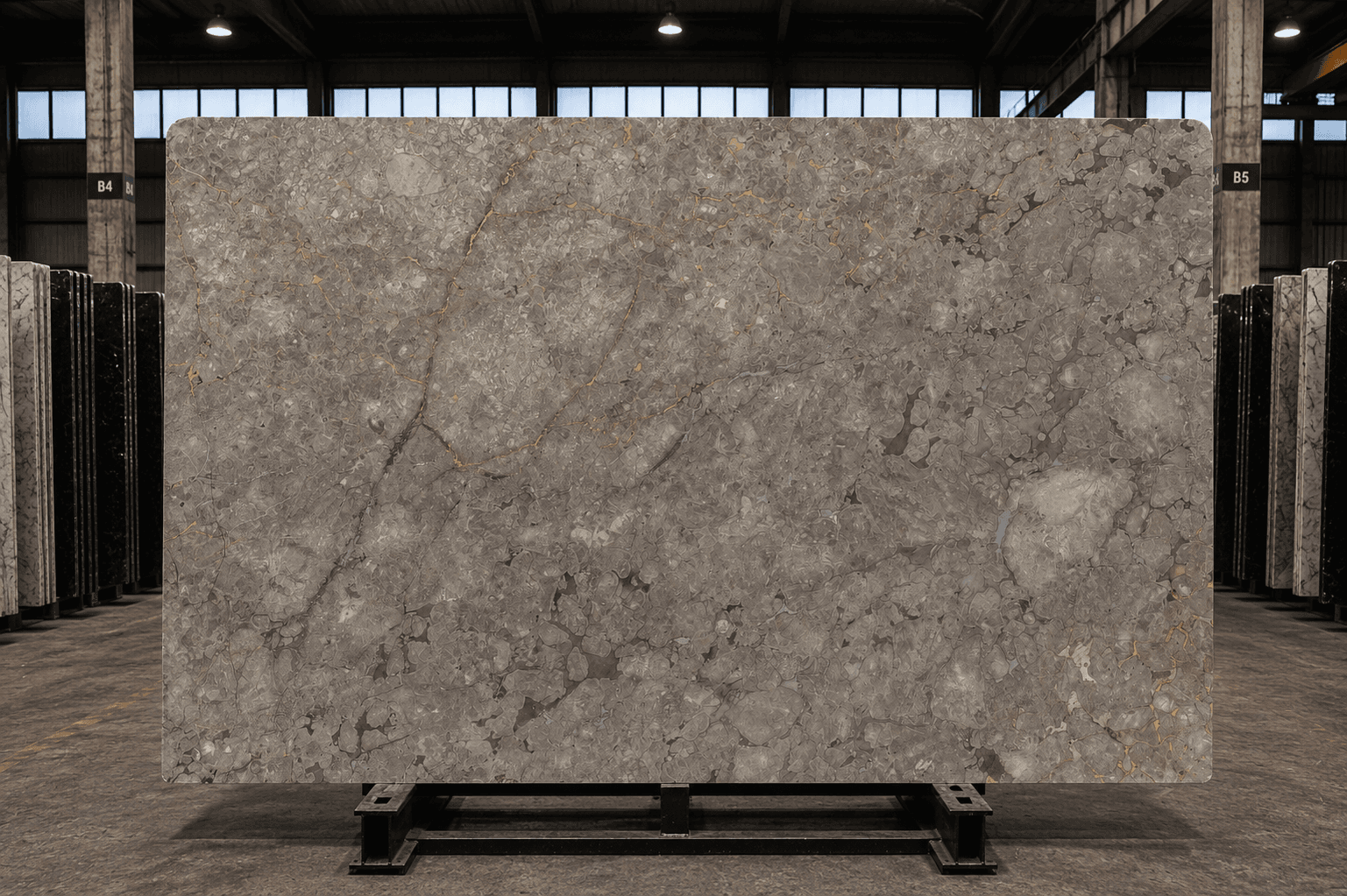 Grigio Billiemi