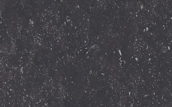 Belgian Blue – materialeudsnit