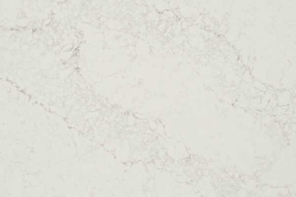 Calacatta Nuvo – materialeudsnit