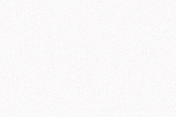 Iconic White – materialeudsnit