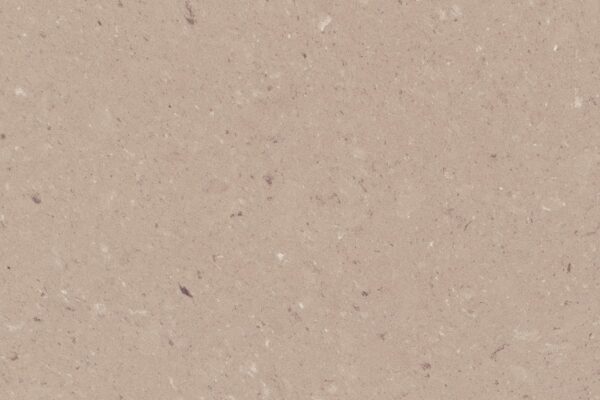 Shitake – materialeudsnit